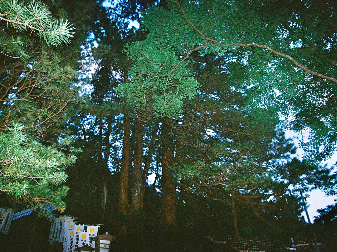 Gyokkei-ji Temple-甲贺市必去景点