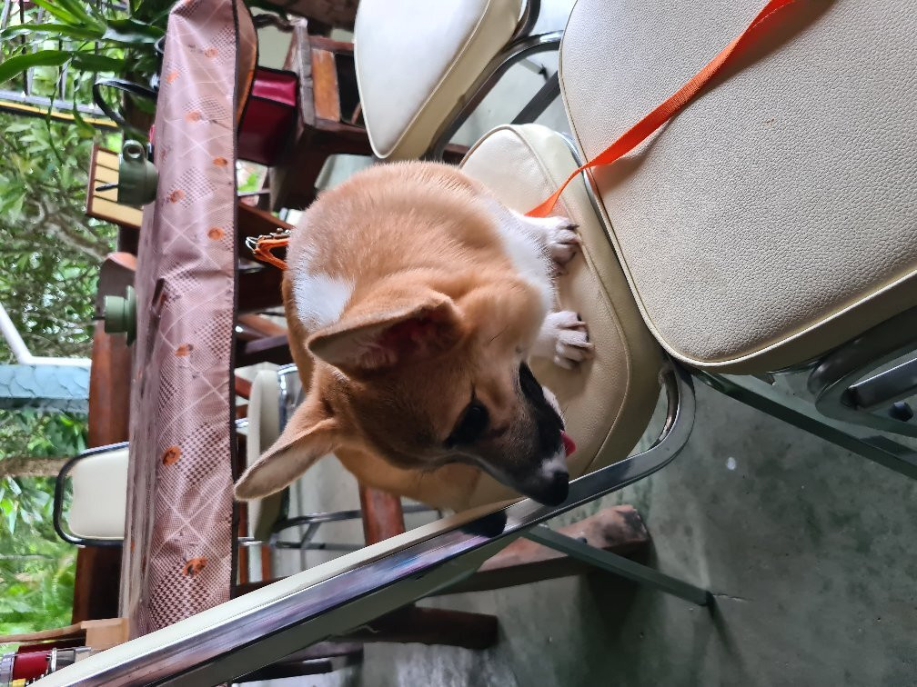 Kwai Noy River Park Resort主图