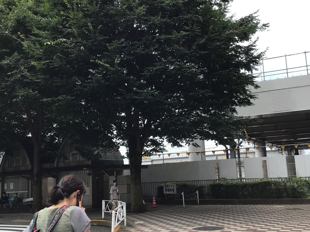 Ken Shimura Tree-东村山市必去景点