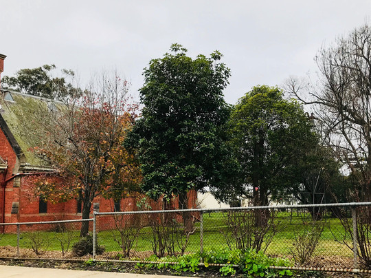 St Andrew's Uniting Church-Coleraine必去景点
