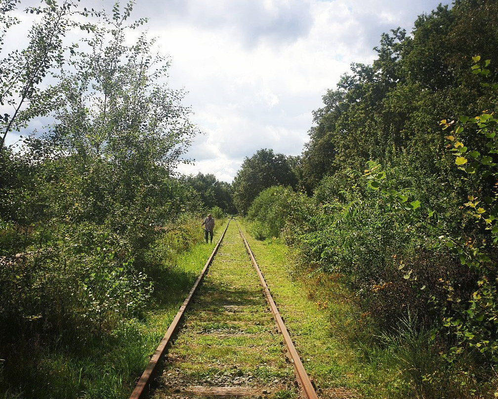 Spoorfietsbedrijf Hengelo - Twekkelo-亨厄洛必去景点