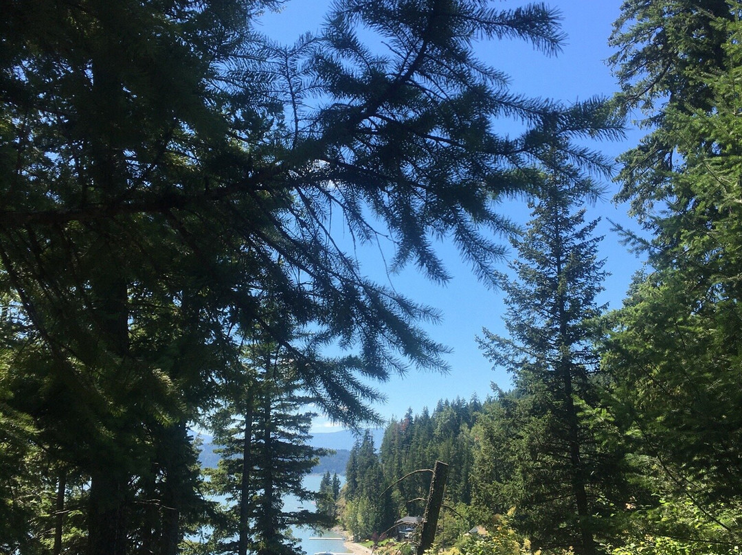 Shuswap Lake景点图片