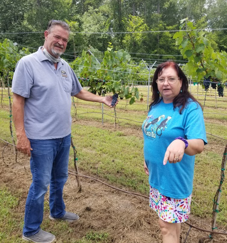 Maraella Winery-Hokes Bluff必去景点