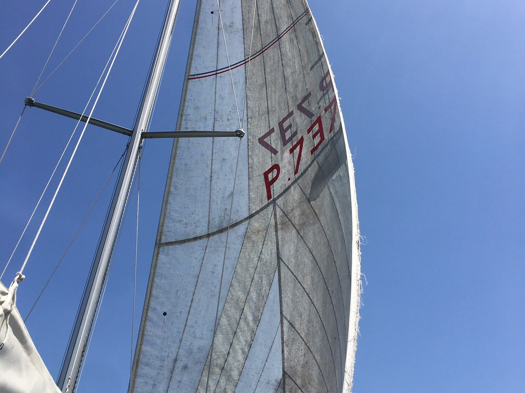 Troia Bay - rent a sail景点图片