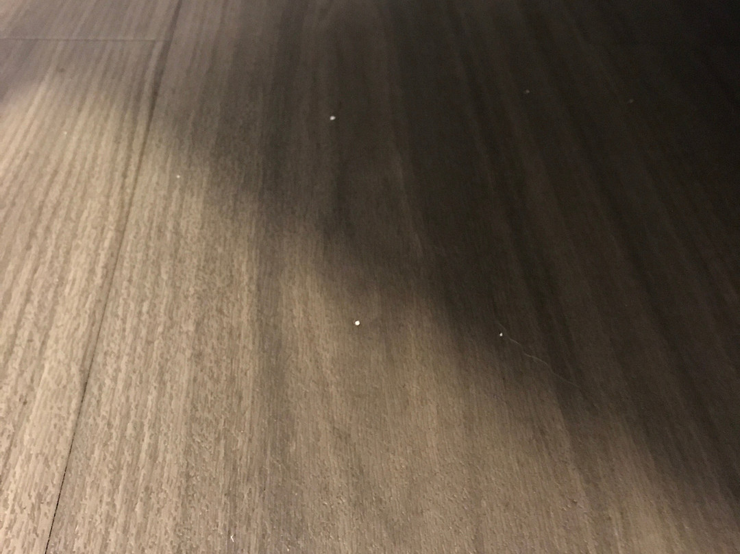 La Quinta Inn & Suites by Wyndham Orem University Parkway / Provo主图