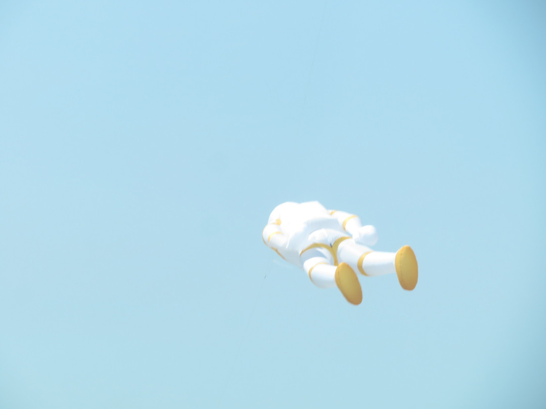 Martinez Regional Shoreline-Martinez必去景点