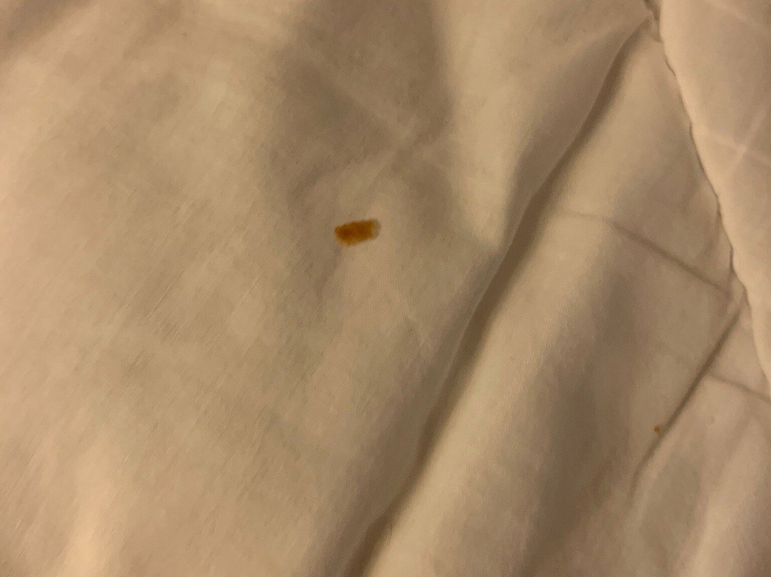 Rodeway Inn & Suites On The River主图