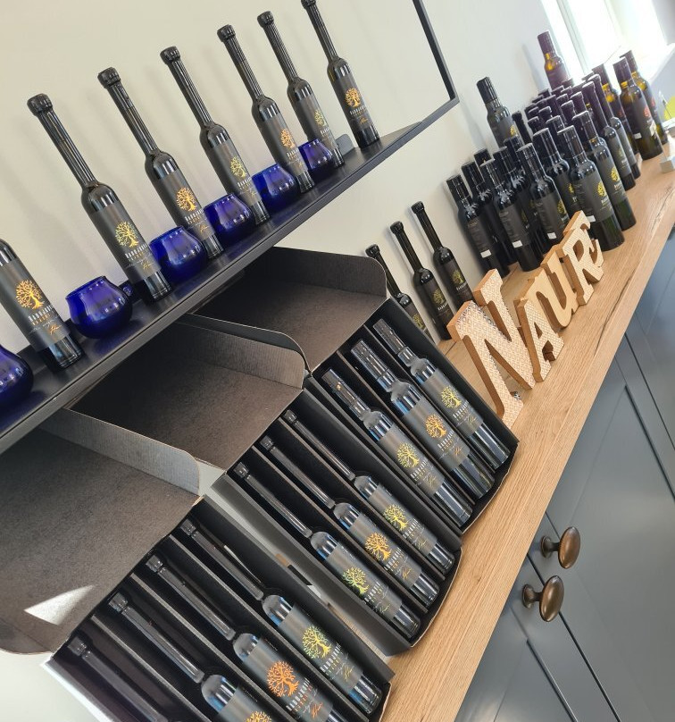Olive oil tasting Radojkovic-Bogomolje必去景点