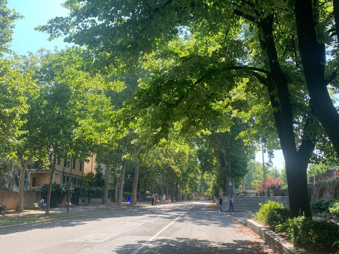 Viale Pubblico Passeggio景点图片