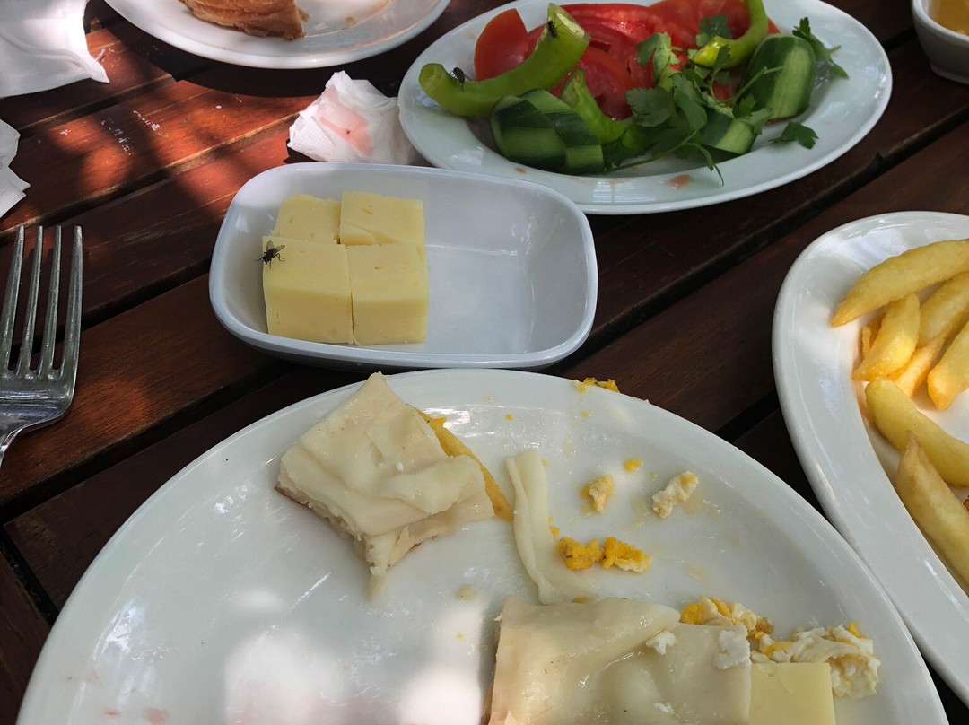 Doga Ciftlik景点图片