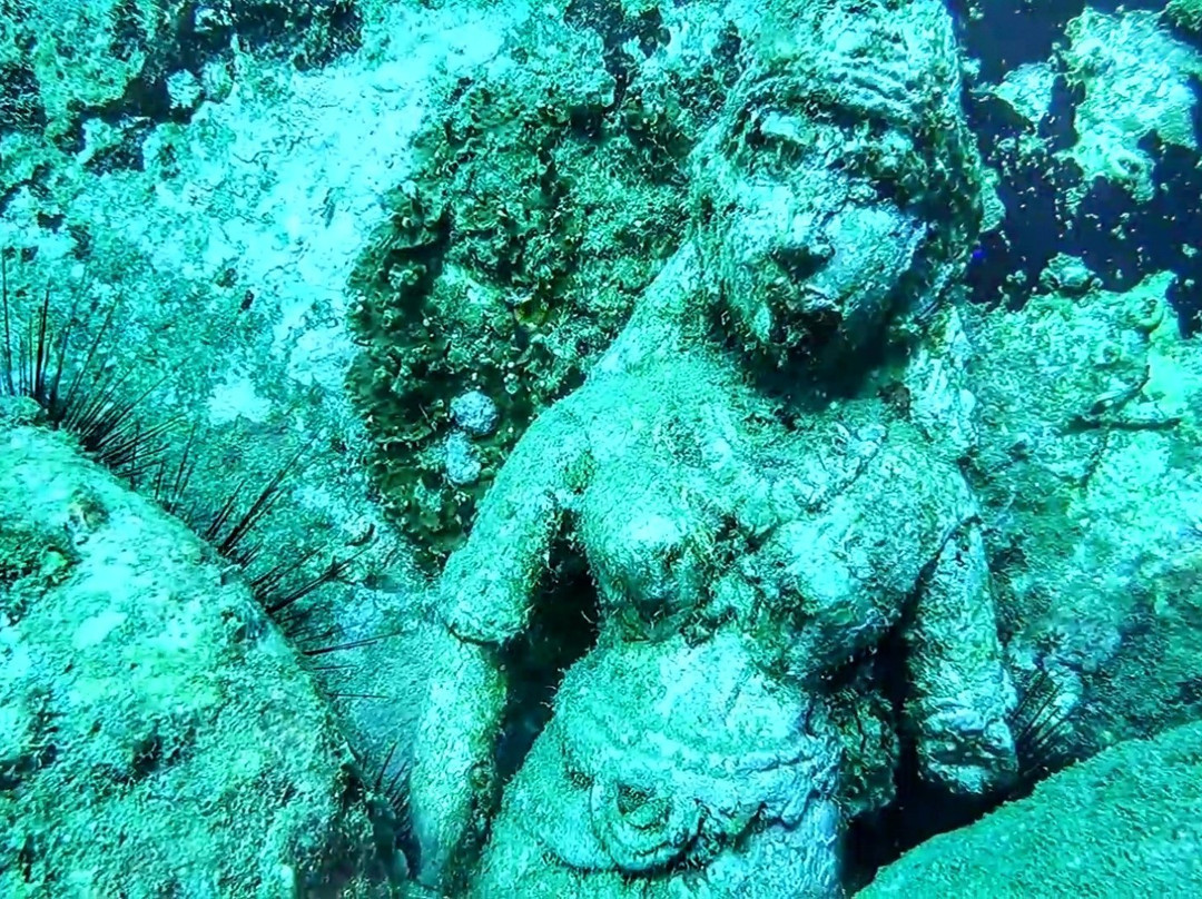 Scuba Safaris Trincomalee-Trincomalee必去景点