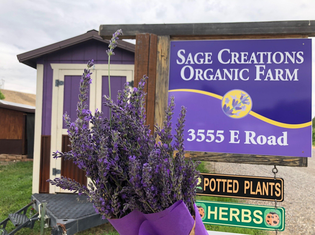 Sage Creations Organic Farm-Palisade必去景点