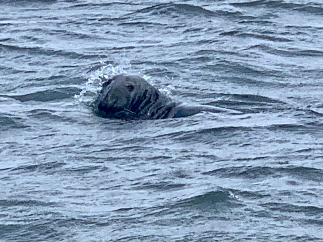 Blue Claw Boat Tours-Bremen必去景点