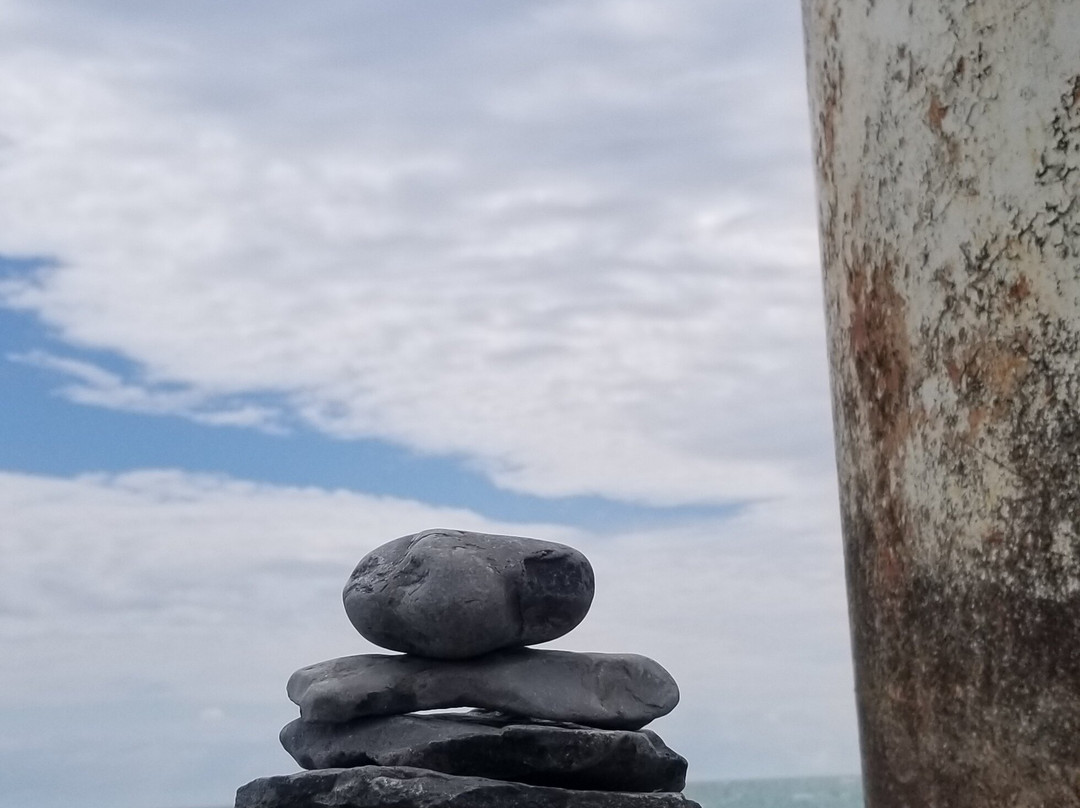 Wellington Rotary Beach景点图片