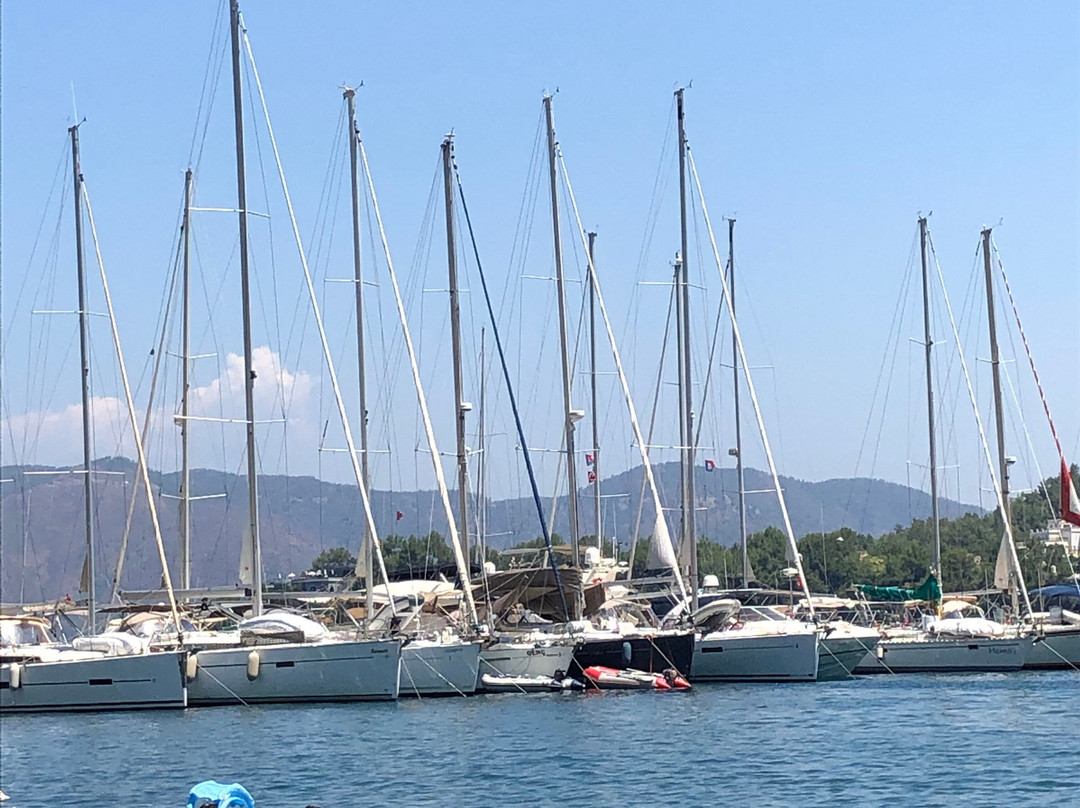 Ella Yacht Club主图