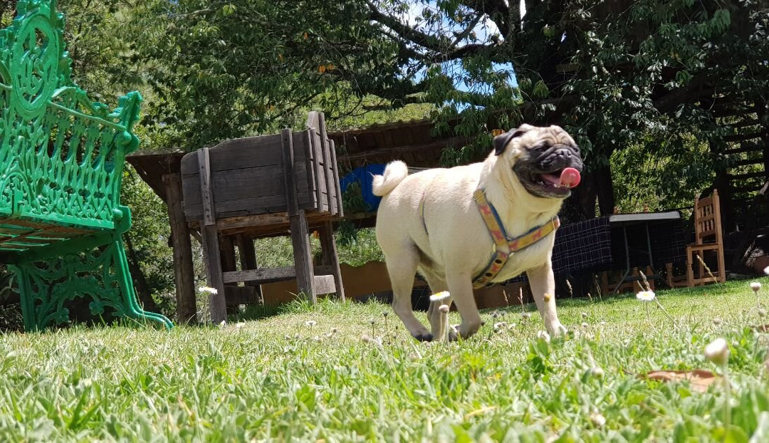 Cabanas El Refugio主图