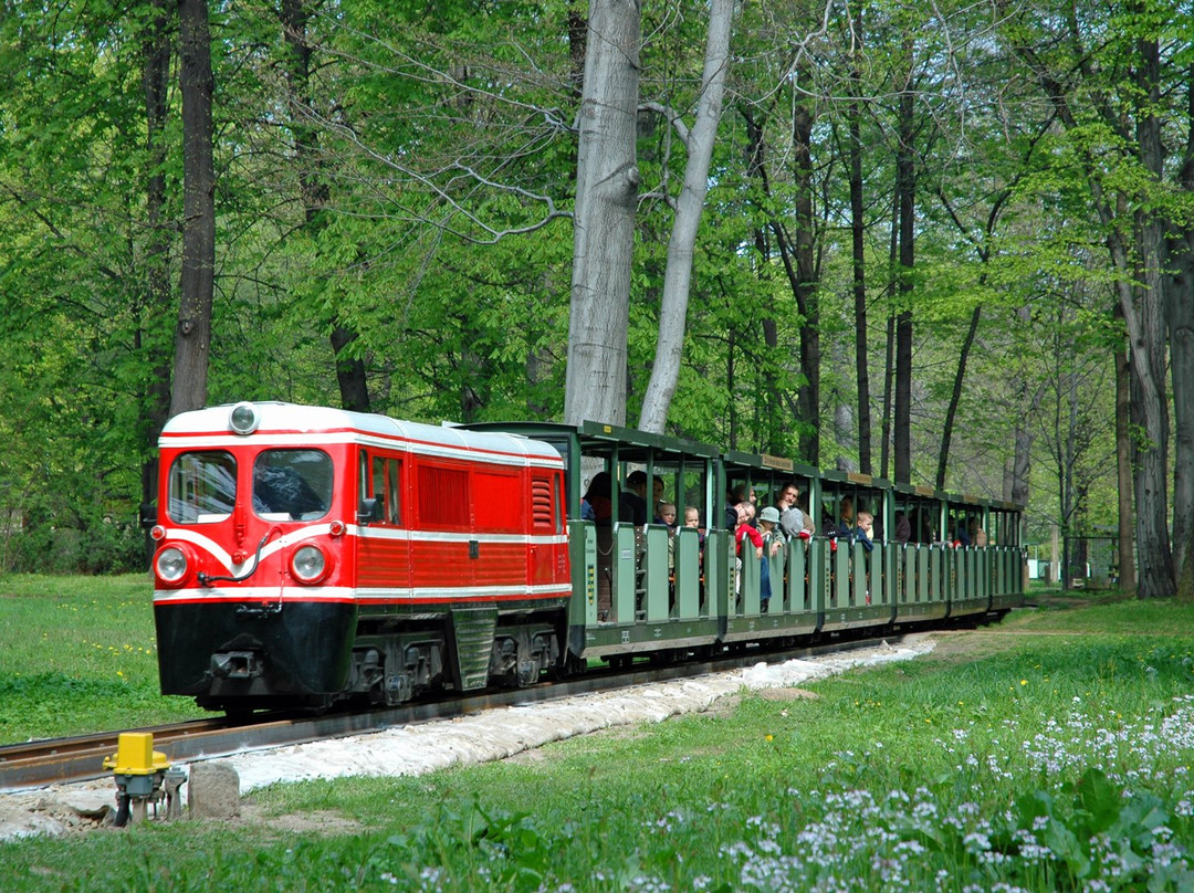 Dresdner Parkeisenbahn-德累斯顿必去景点