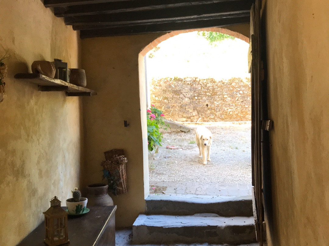 Locanda Di Alberi主图