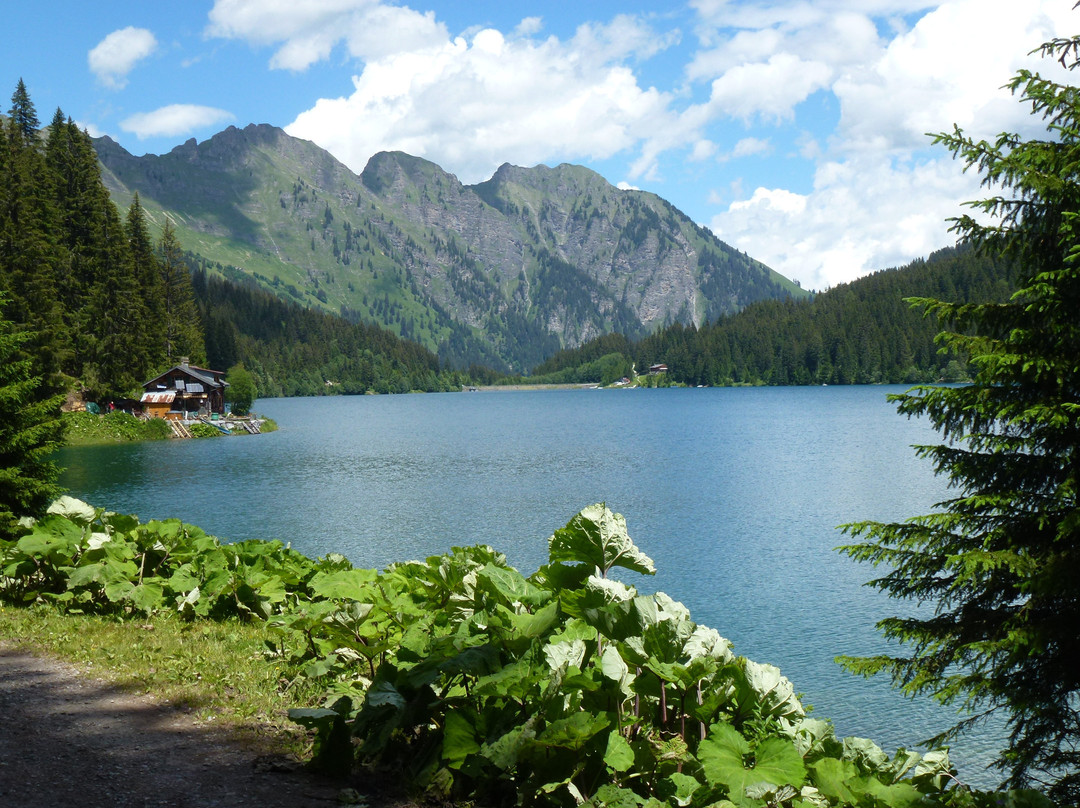 Arnensee-Feutersoey必去景点