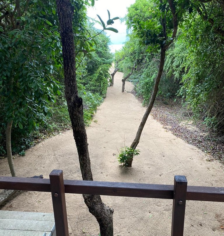 丛林海滩度假村主图