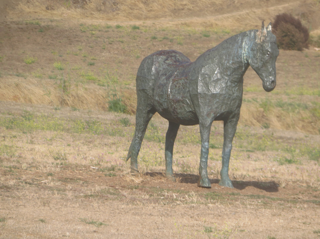 Blackie's Pasture景点图片