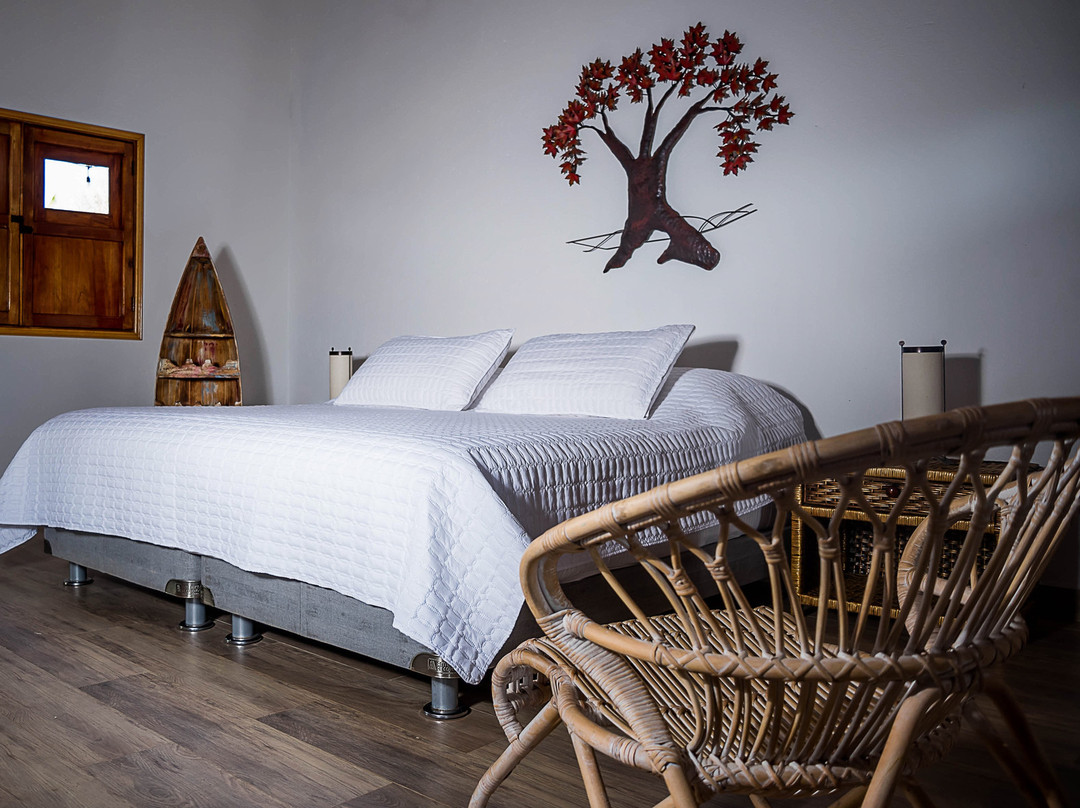 Finca Eco Hotel Nativo主图