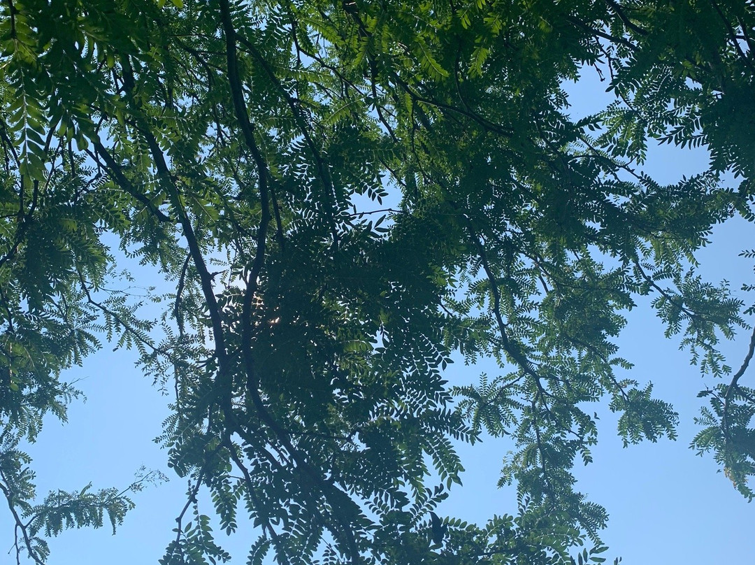 Active Hotel Paradiso & Golf主图