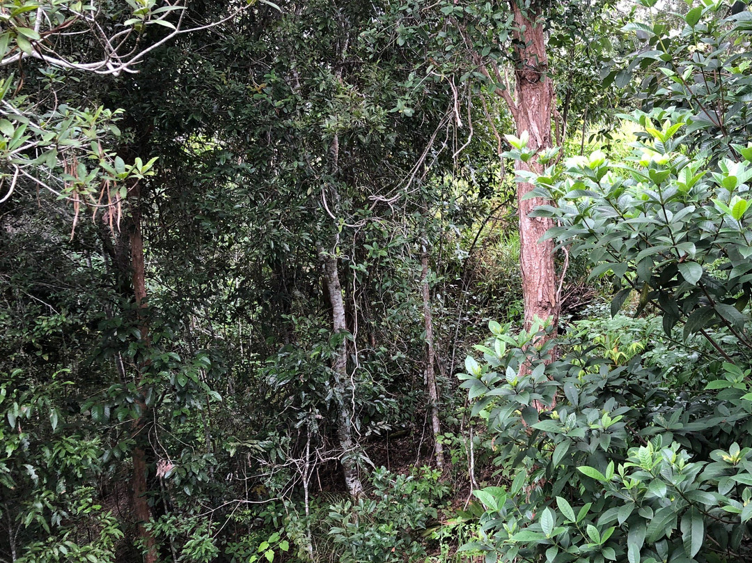 Tinaroo Sunset Retreat主图