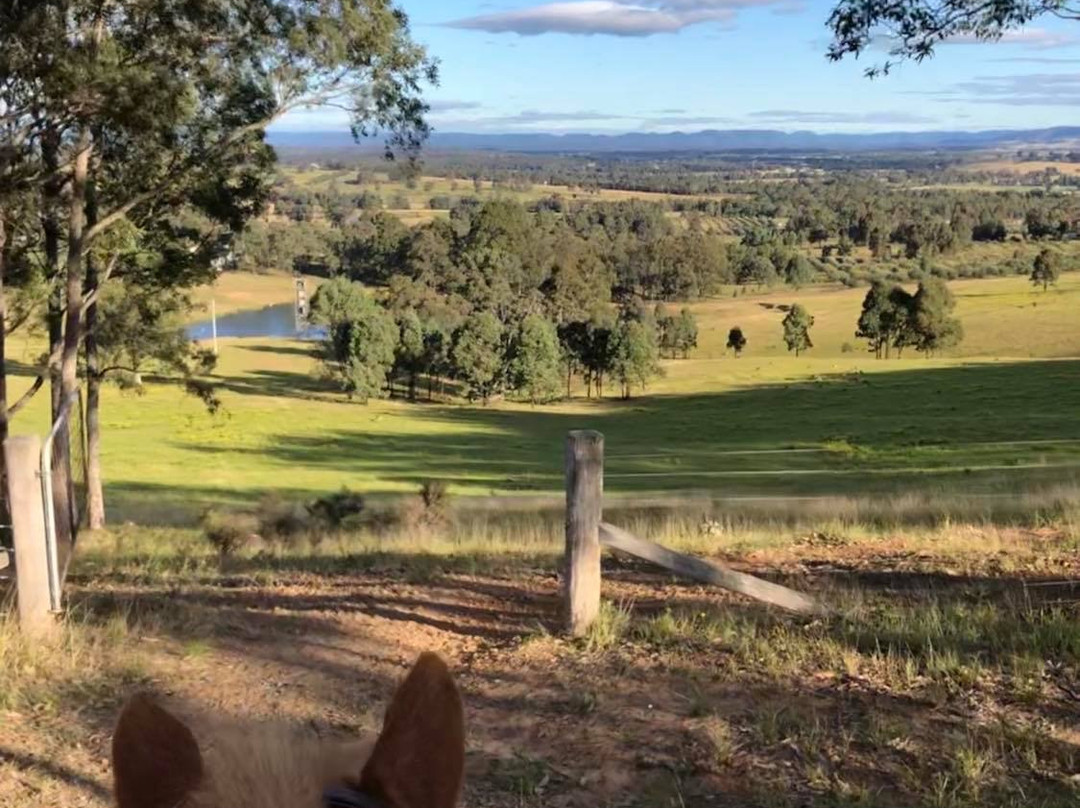 Hunter Valley Horseriding and Adventures景点图片