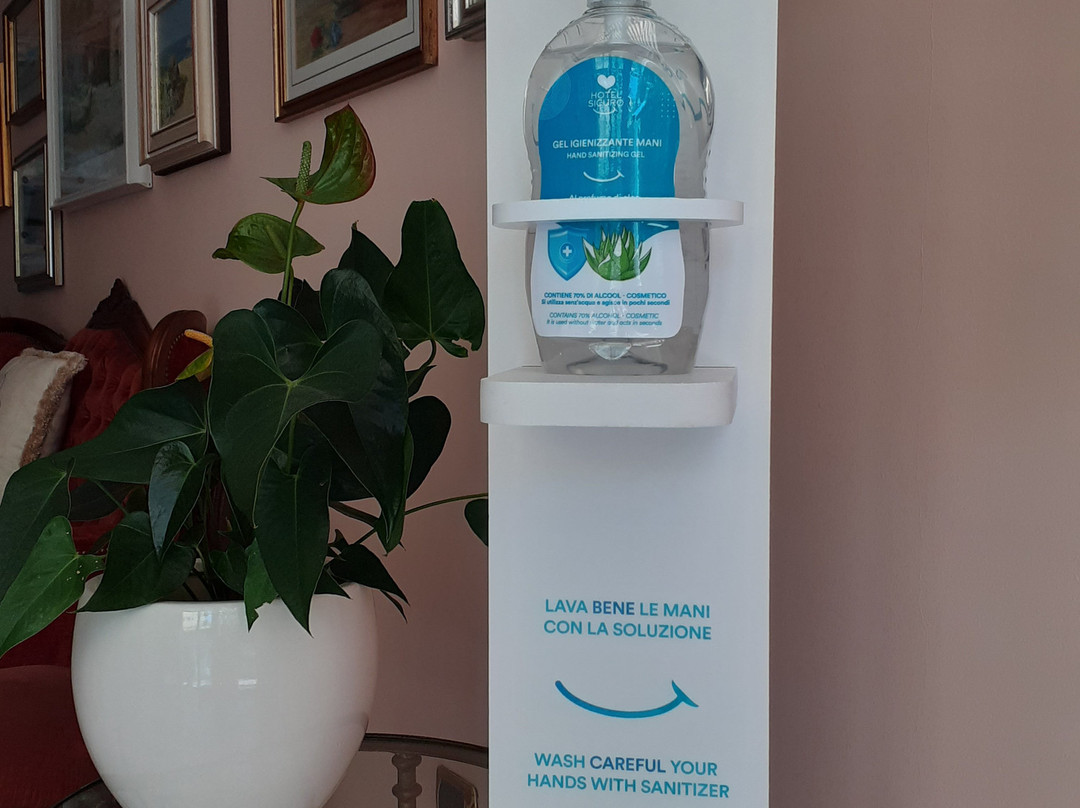 Hotel Villa Argentina主图