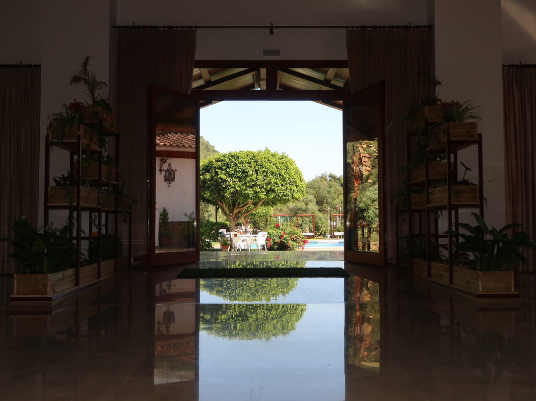 Hotel El Paso主图