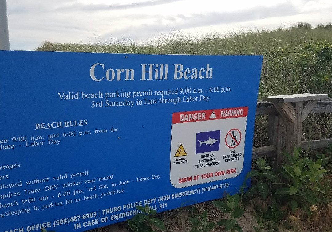 Corn Hill Beach景点图片
