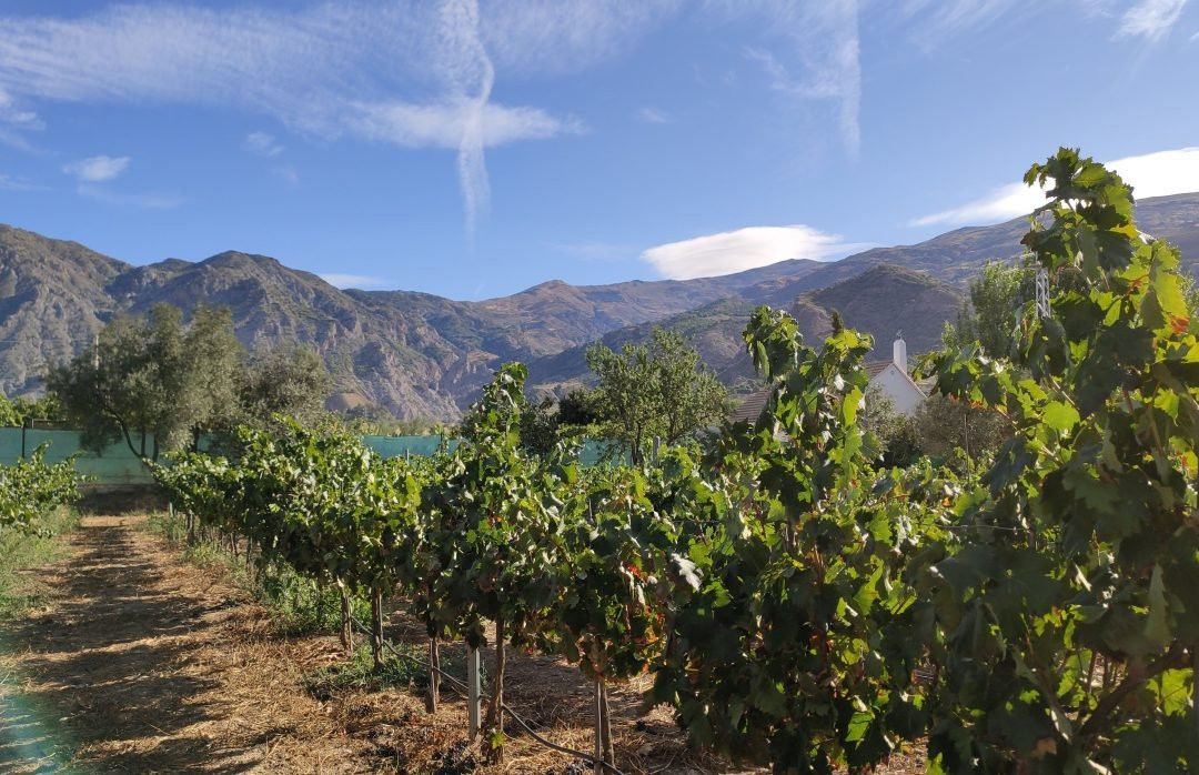 Slow House Sa Mayma主图