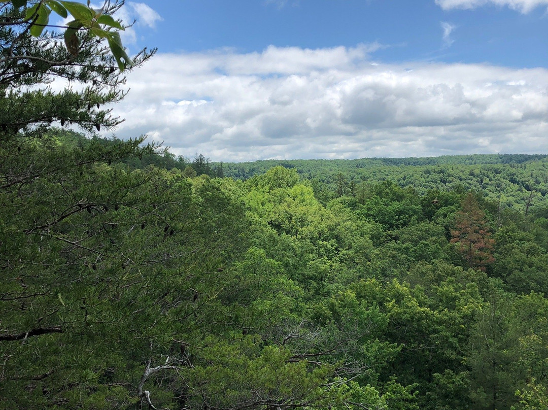 Big South Fork Lodge & Horse Campground主图