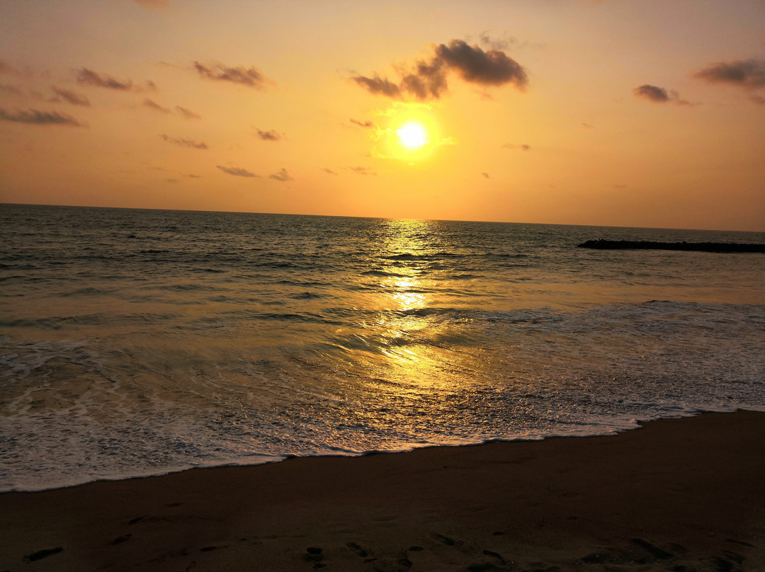 Hotel Coconut Bay主图