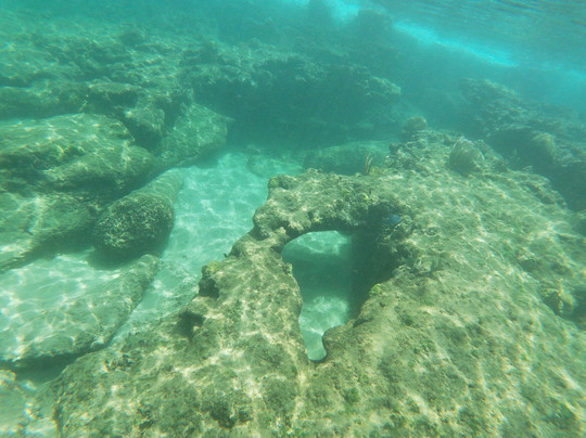 Meagan Busick-吕康必去景点