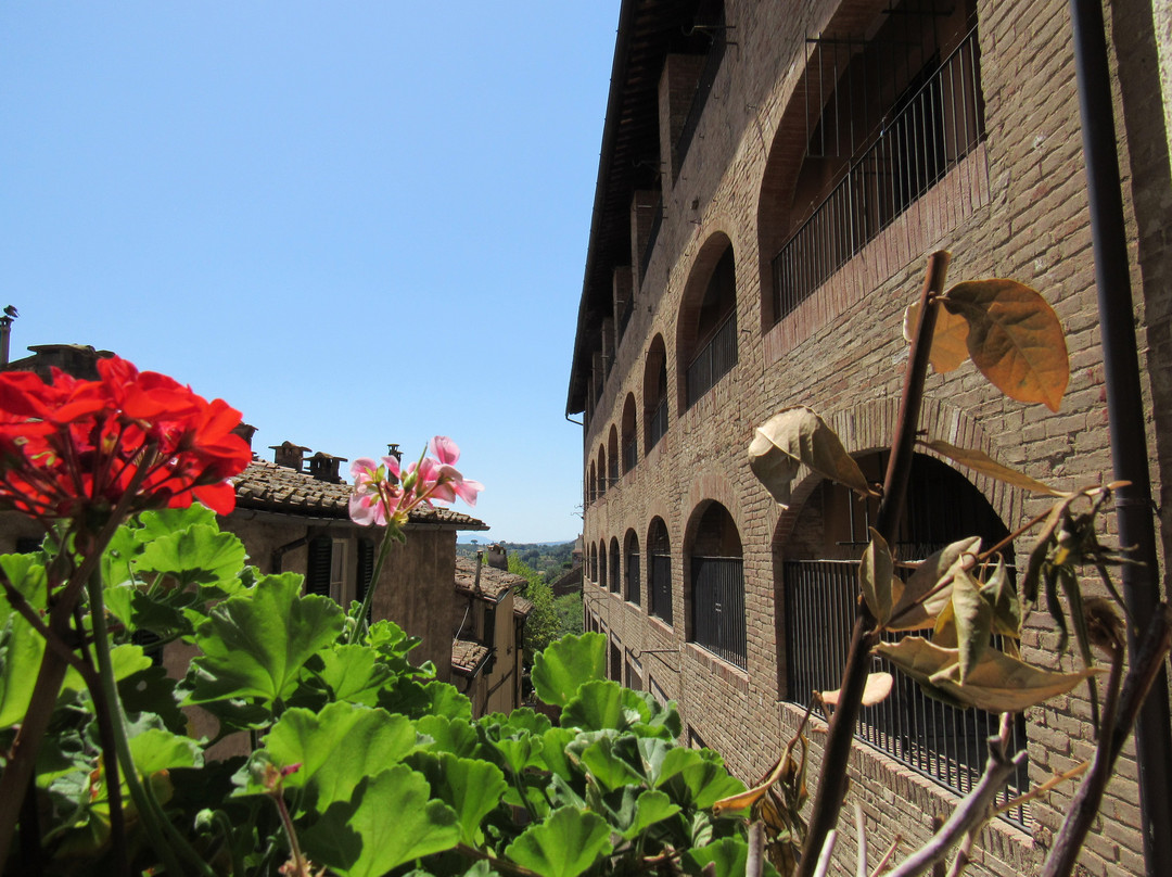 Domus IL Palio主图