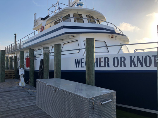 Reel Surprise Charters-橙色海湾必去景点