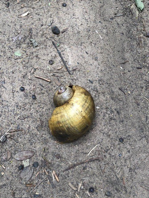 Cullinan Park-舒格兰必去景点