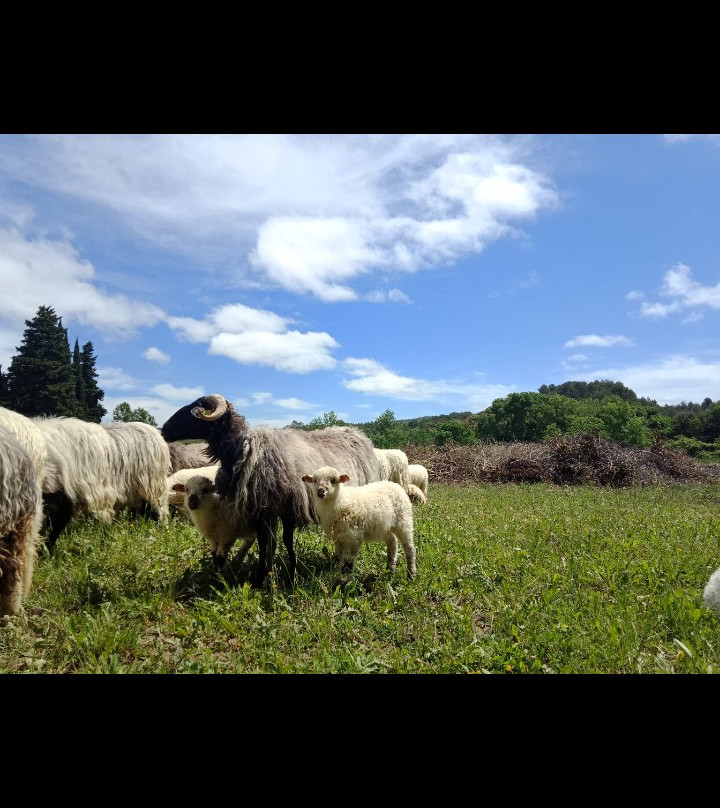 Gites & Chambres d'Hotes du Pont Vieux主图