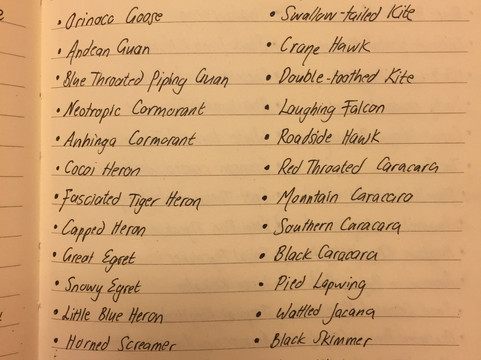 Amazon Wildlife Peru-库斯科必去景点