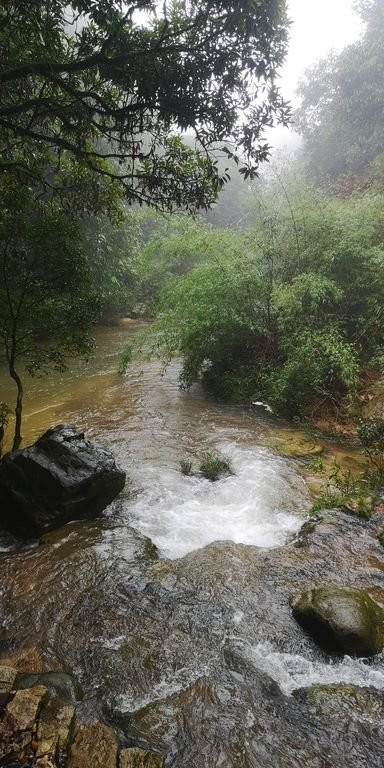 Garden of Caves景点图片