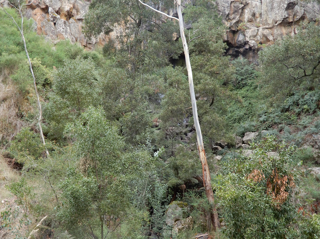 Sailors Falls & Mineral Springs-Sailors Falls必去景点