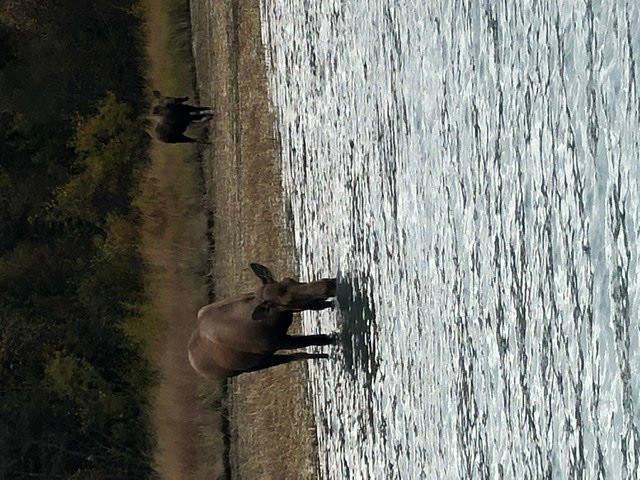 Chugach Backcountry Fishing - Day Trips-穆斯帕斯必去景点