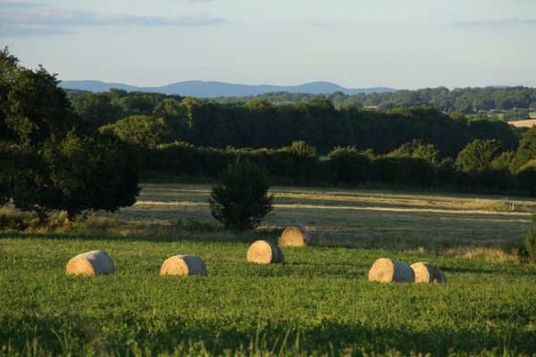 Domaine de Savigny主图