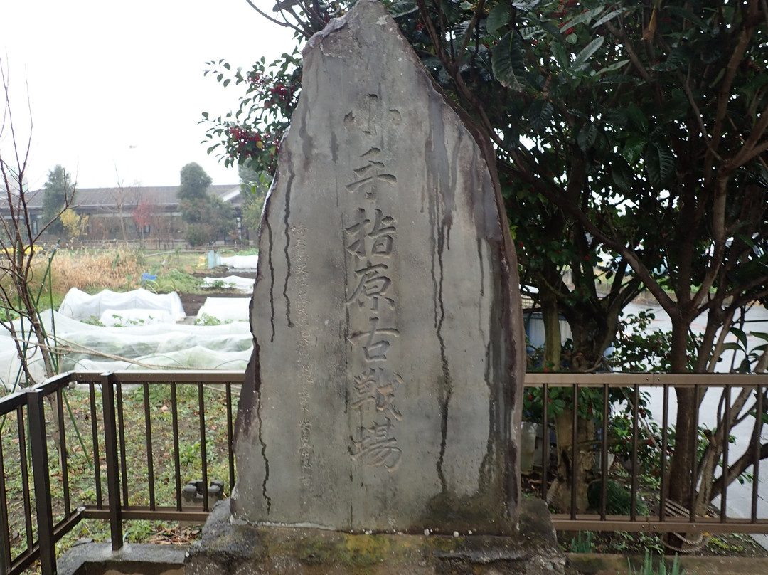 Kotesa Shigahara Old Battlefield景点图片
