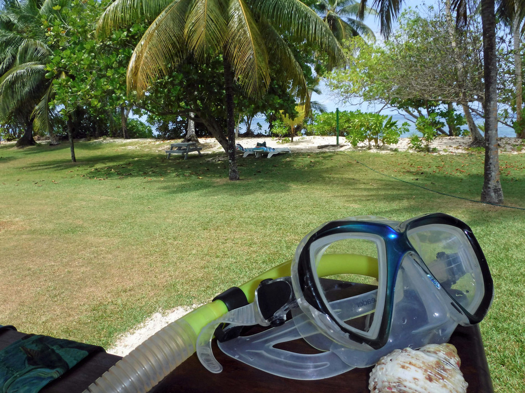 戴安斯弗尔本小木屋假日公园主图