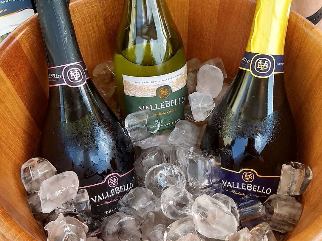 Vinícola ValleBello Vinhedos e Vinhos