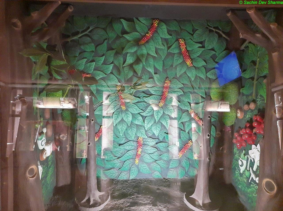 Coffee Museum-Araku Valley必去景点