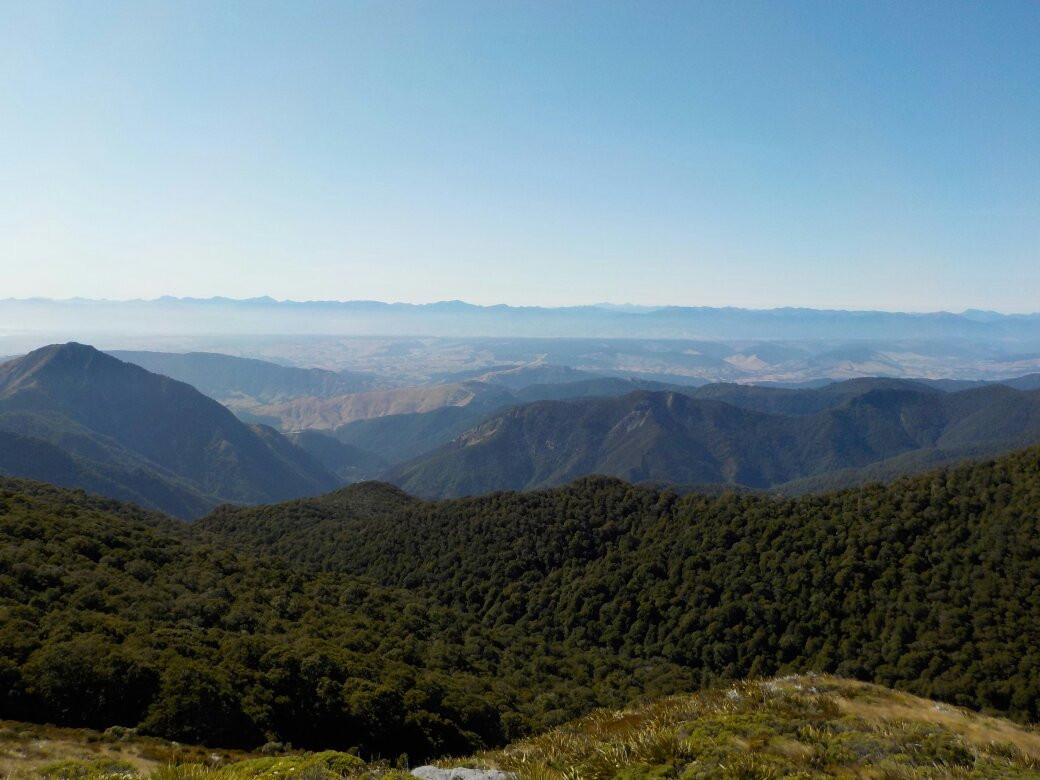 Flora Hut & Mount Arthur Hut tracks景点图片